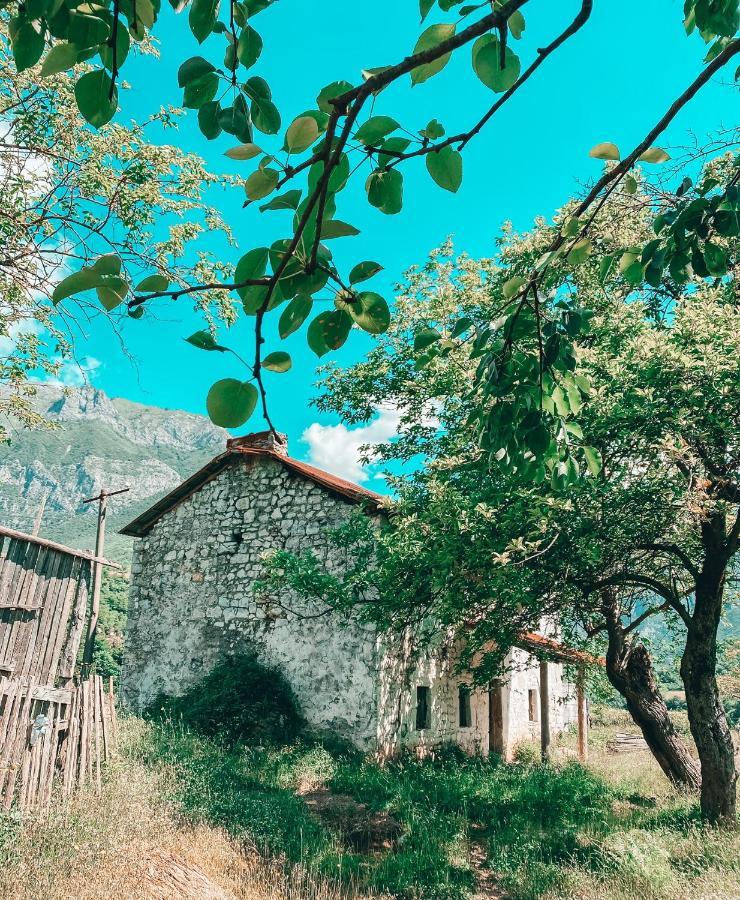 Te Baca Qerim Διαμέρισμα Lekbibaj Εξωτερικό φωτογραφία