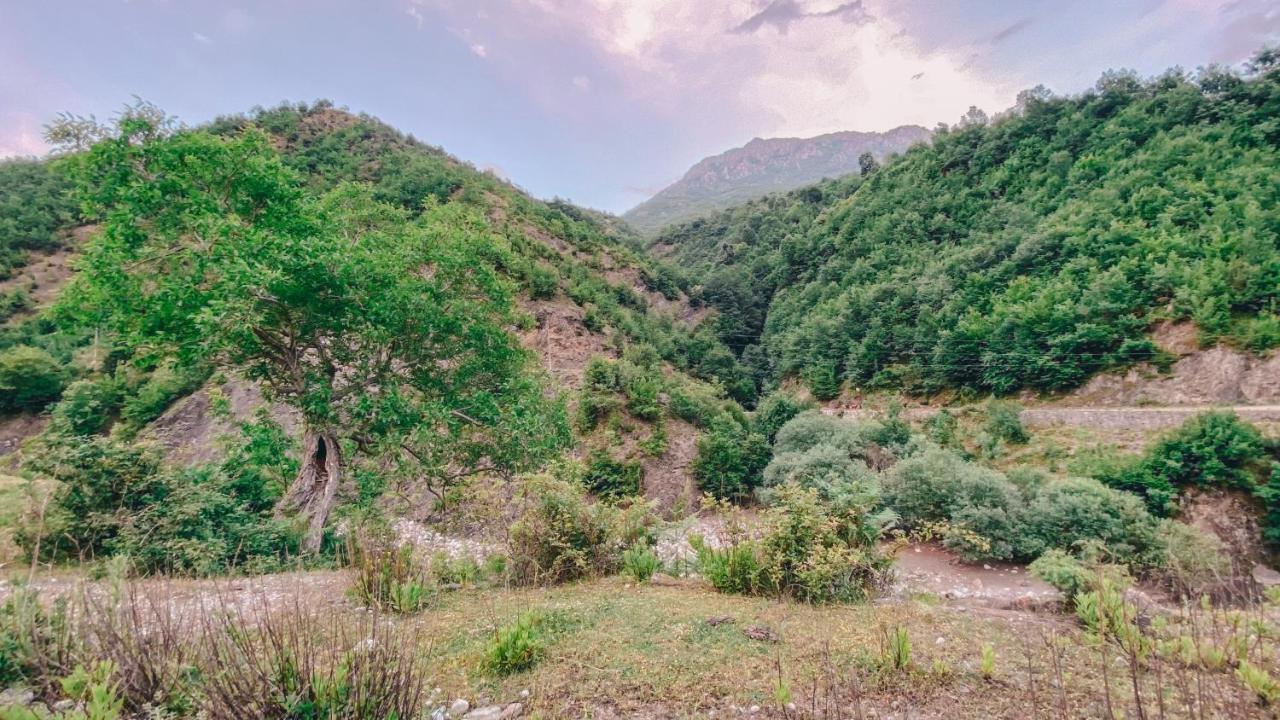 Te Baca Qerim Διαμέρισμα Lekbibaj Εξωτερικό φωτογραφία